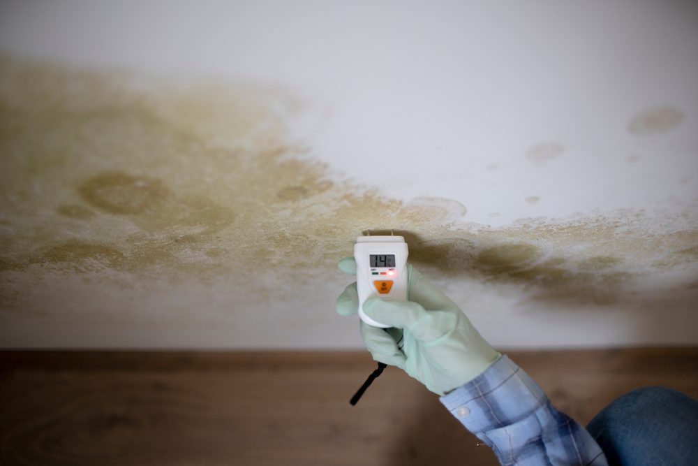 Mold is hard to detect but it presents serious health issue