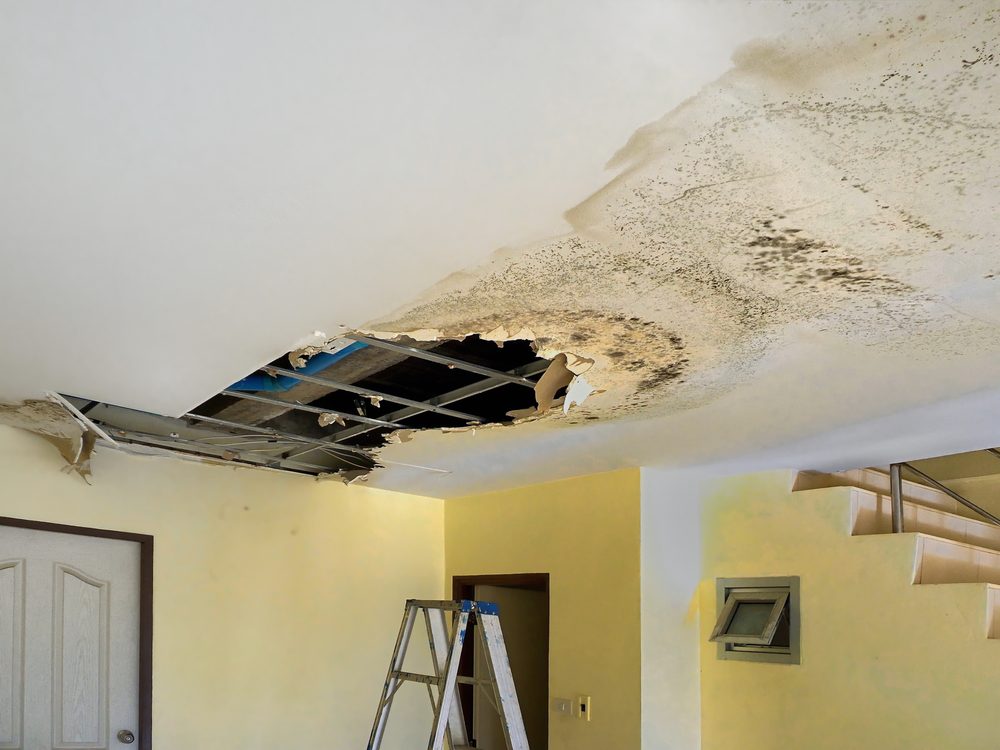 Water leaks can cause serious damage to your home over time